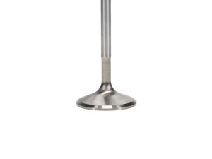 Acura Integra Engine Intake Valve (1) - Manley Performance - Race Flo - `92-`00